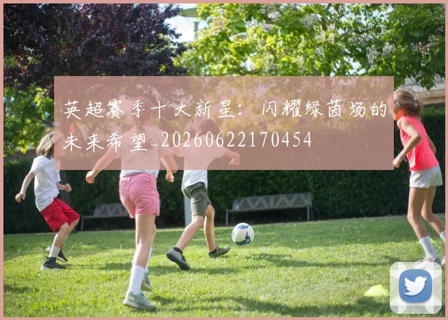 英超赛季十大新星：闪耀绿茵场的未来希望_20260622170454