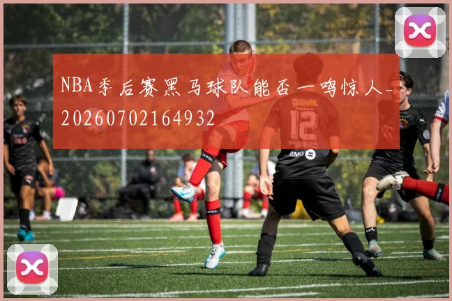 NBA季后赛黑马球队能否一鸣惊人_20260702164932