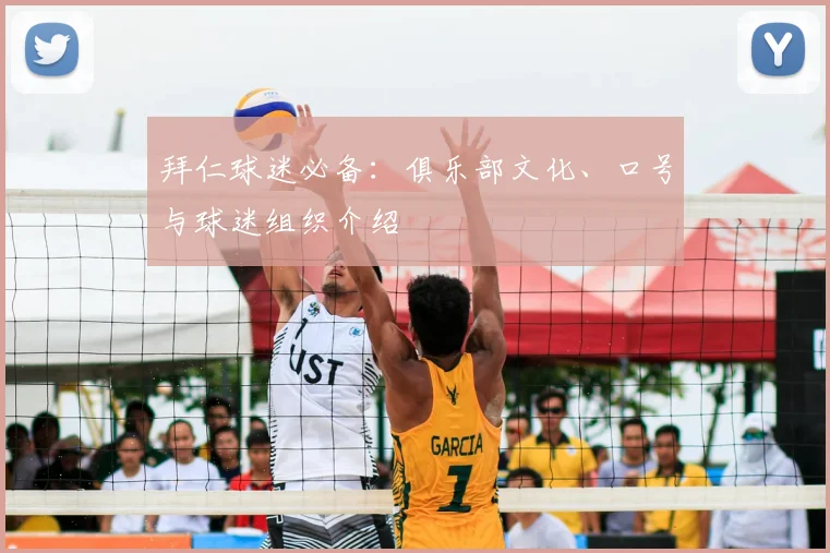 拜仁球迷必备：俱乐部文化、口号与球迷组织介绍