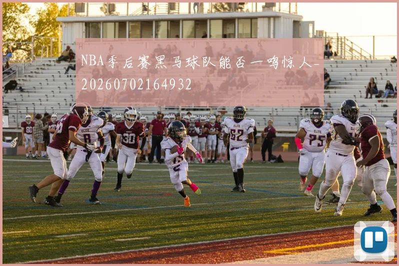 NBA季后赛黑马球队能否一鸣惊人_20260702164932